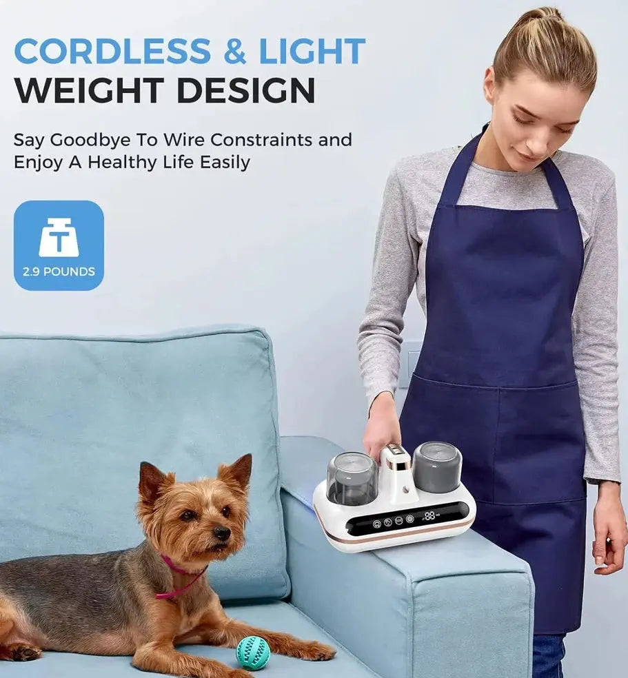 Aspirateur anti-acariens à main double réservoir sans fil U SHINER